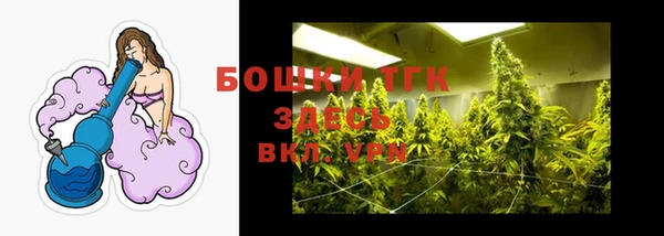 мдпв Магас