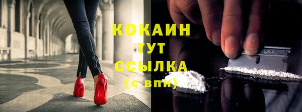 мдпв Магас