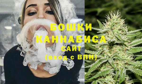 мдпв Магас