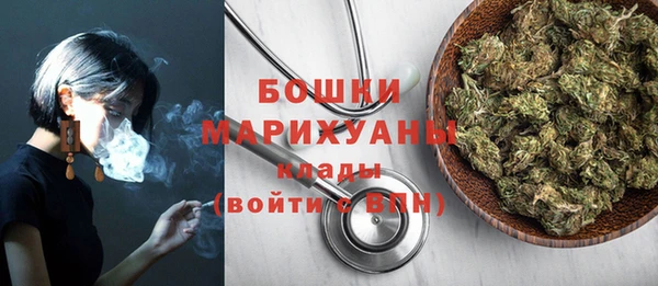 мдпв Магас