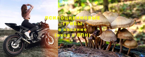 твердый Магадан