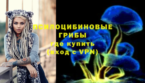твердый Магадан