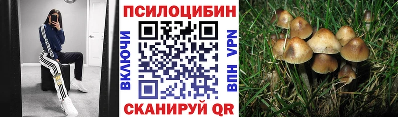 Купить где Славянск-на-Кубани Псилоцибиновые грибы мицелий